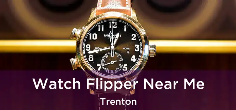 Watch Flipper Near Me Trenton